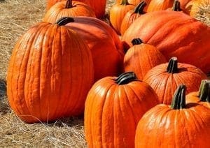 Annual Menifee Fall Festival
